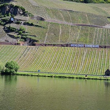 Mosel