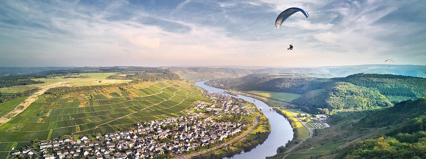 Landschaft Zeltingen-Rachtig