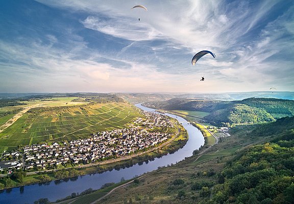 Landschaft Zeltingen-Rachtig