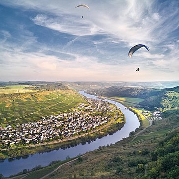Landschaft Zeltingen-Rachtig