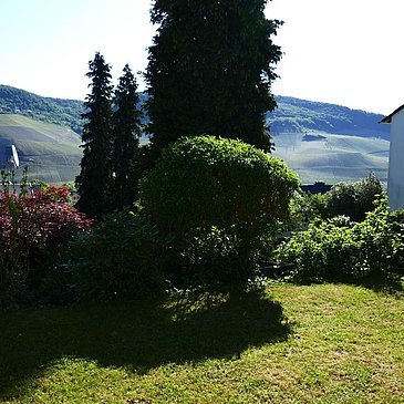 2_Terrasse8