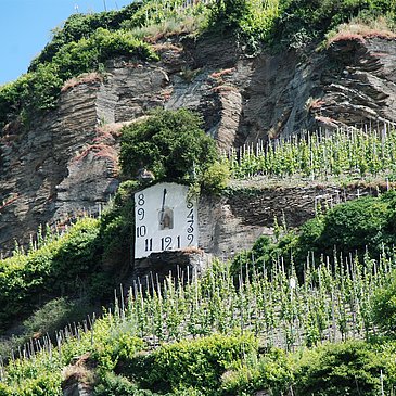 Wehlener Sonnenuhr