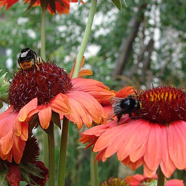 DSC03280
