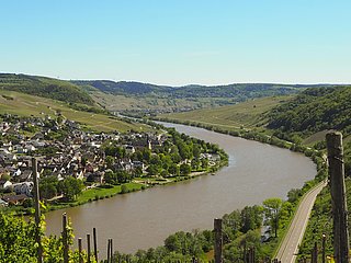 Weinort Neumagen-Dhron