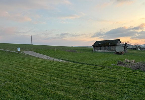 Garten 4