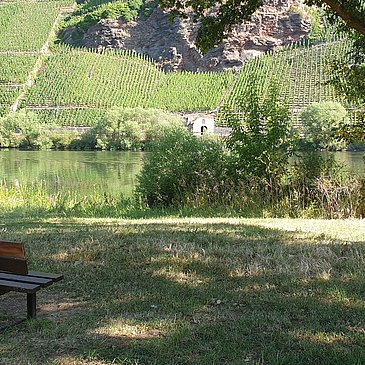 Moselufer bei Erden