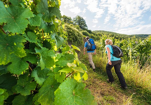 Aufstieg zur Burg Thurant