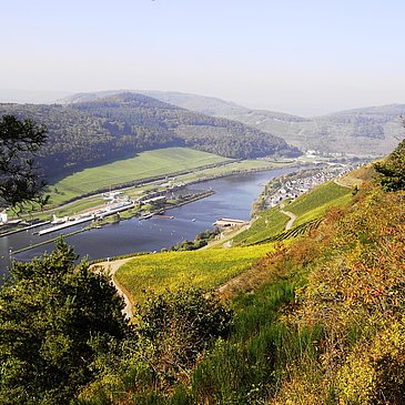 Moselstaustufe