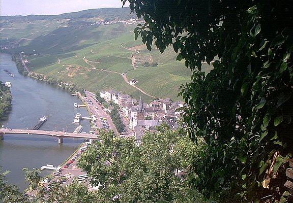 Blick von der Burg auf die Altstadt