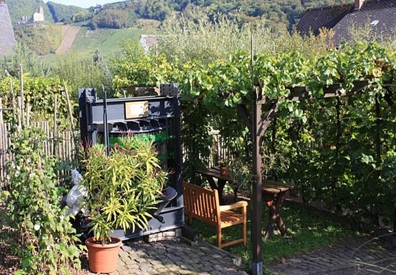 Weinlaube
