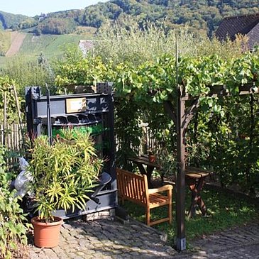 Weinlaube