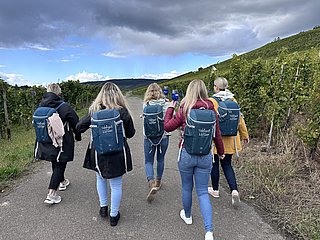 Wein Picknick Paket in Lieser