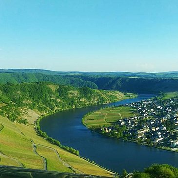 Blick auf Piesport-Niederemmel