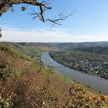 Aussichtspunkt Zeltinger Berg: Wehlen mit Hängebrücke, Graach und im Hintergrund Bernkastel-Kues