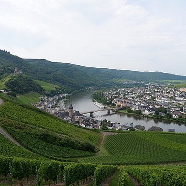 Blick von den Weinbergen auf Bernkastel-Kues