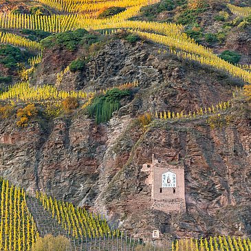 Ürziger Sonnenuhr ind en Weinbergen