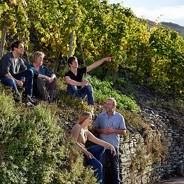 Familie im Weinberg