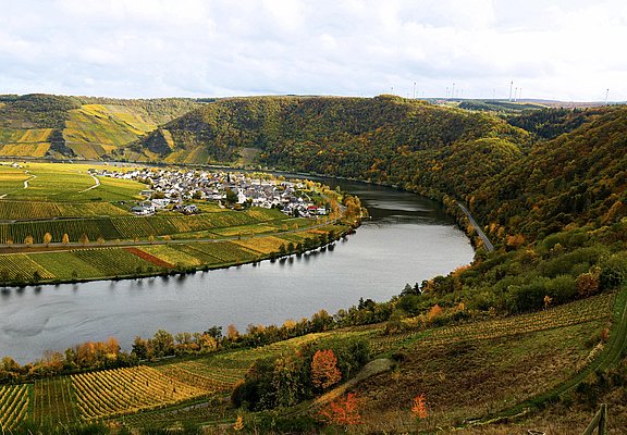 Minheim an der Mosel
