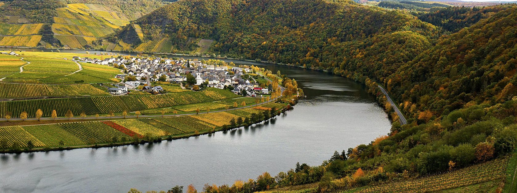 Minheim an der Mosel
