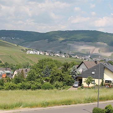 Blick nach Bern. -Kues