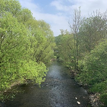 Fluss Lieser