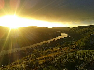 Moselblick