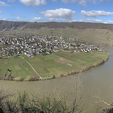 Bild 11.1