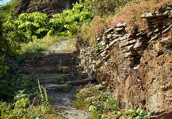 Leuchtpunkt in Erden