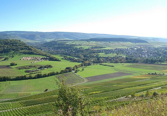 Weinberge und Wiesen von Lieser und Maring-Noviand