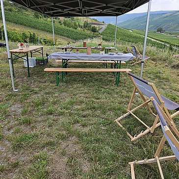 Weinprobe im Freien mit Ausblick