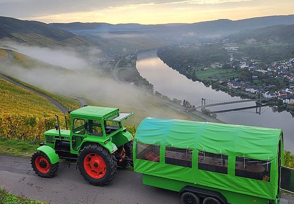 Planwagen im Weinberg