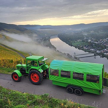 Planwagen im Weinberg