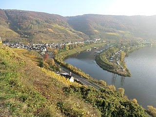Aussicht auf Senheim mit Hafen