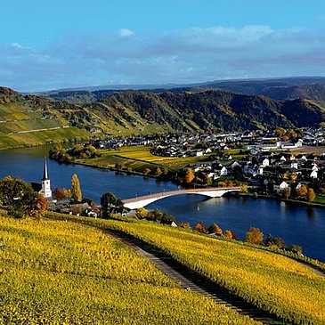 piesport2