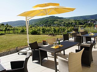 Weingut Genetsch Terrasse