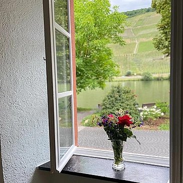 Ausblick