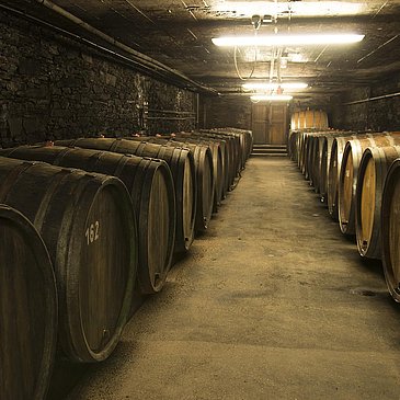 Weinfasskeller des Weingut Selbach-Oster