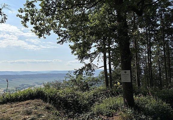 Kaisereiche