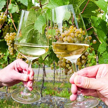 Wein