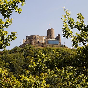 Burg Landshut