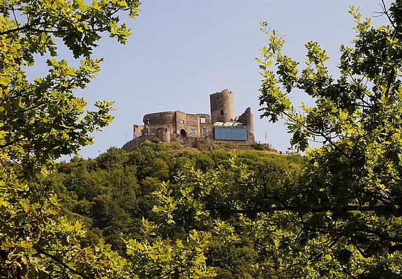 Burg Landshut
