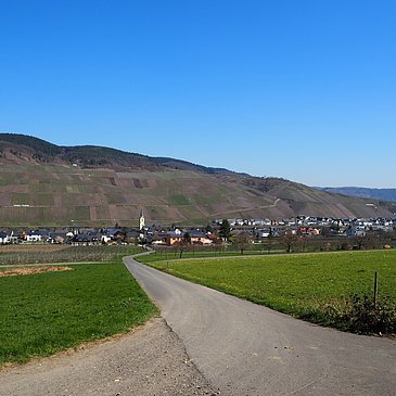 Blick auf den Ort Lösnich und die Weinberge