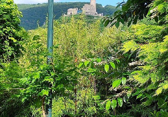15. Burgblick aus den Garten
