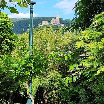 15. Burgblick aus den Garten