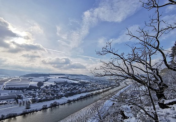 Brauneberg