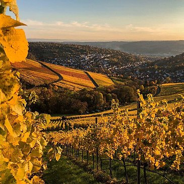 443B1CDA-DD28-4916-858F-9279D3DB12E8