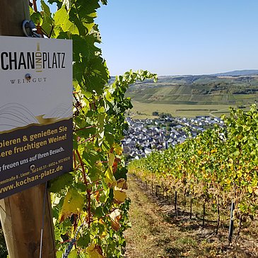 Weinberge Kochan & Platz