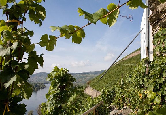 Brauneberger Sonnenuhr: Ziel im Moselurlaub