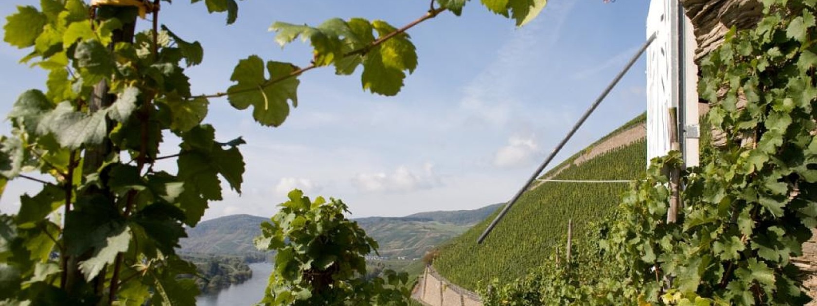 Brauneberger Sonnenuhr: Ziel im Moselurlaub
