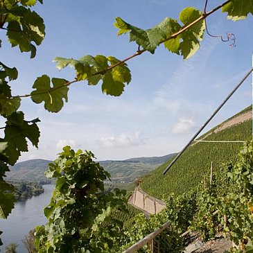 Brauneberger Sonnenuhr: Ziel im Moselurlaub